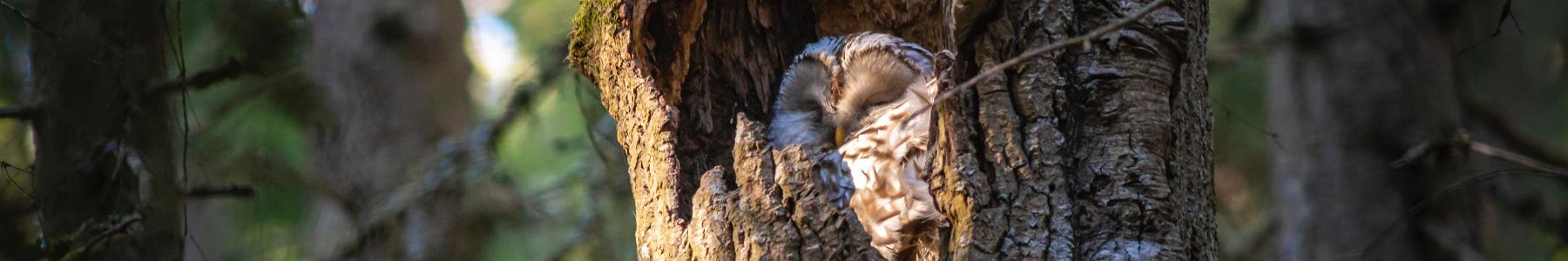 SAFETY+CONFIDENTIALITY, photo: erik karits